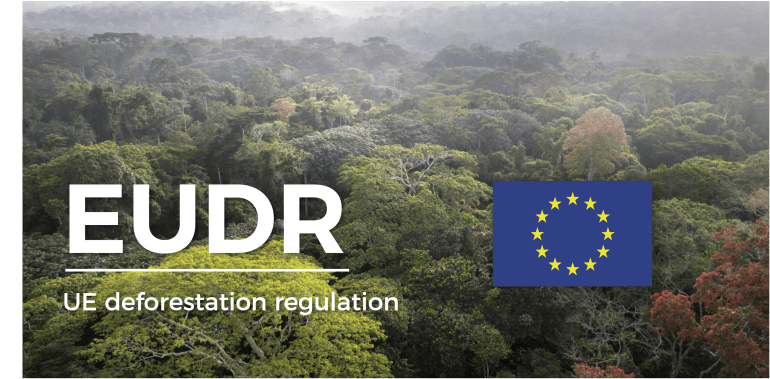 EUDR, Deforestation